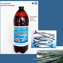 seaweed organic microbial fish feed additives fertilizer